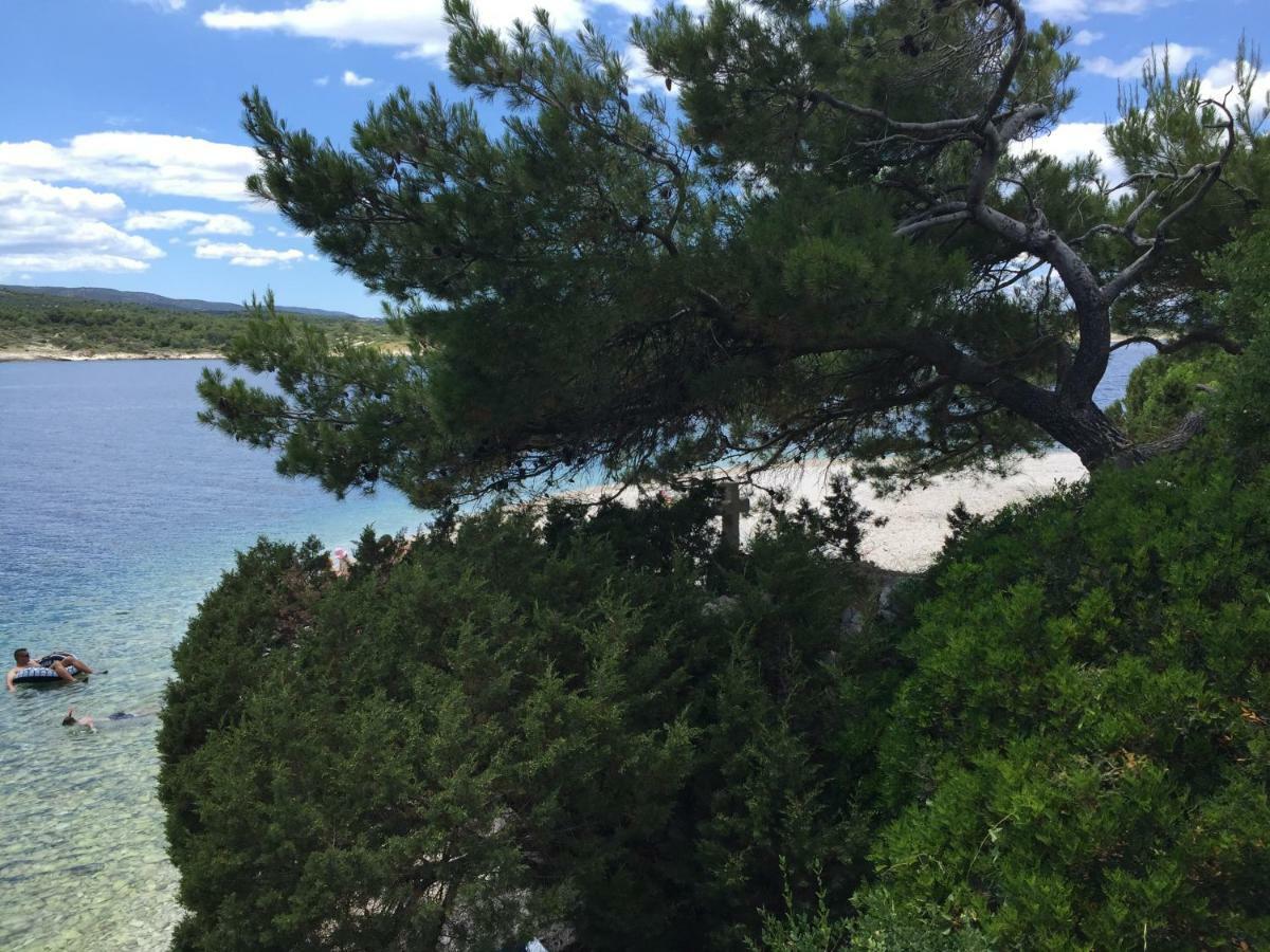 Fig Tree Apartman Povlja  Kültér fotó