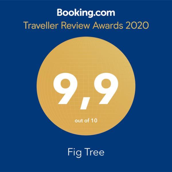 Fig Tree Apartman Povlja  Kültér fotó